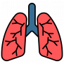 Cartoon image of lungs